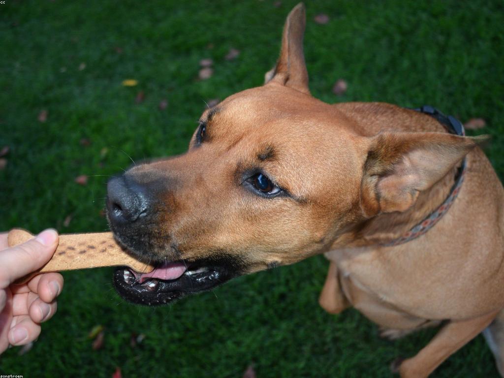 ការប្រៀបធៀបប្រាក់រង្វាន់: គម្រោងដើម្បីការលើកស្ទួយ និងជោគជ័យ